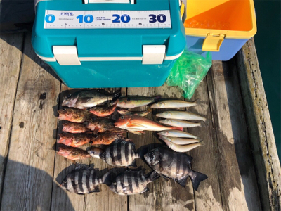 久しぶりの筏で満足