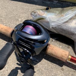 灼熱太陽シーバス