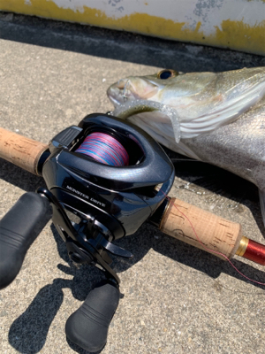 灼熱太陽シーバス