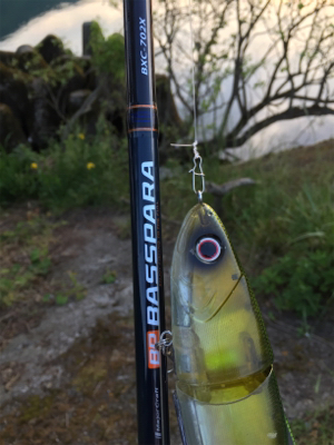 つりぴぃぽぉ釣果