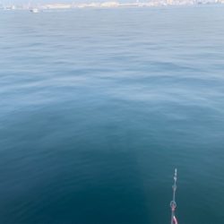 通りすがりラッキー♫