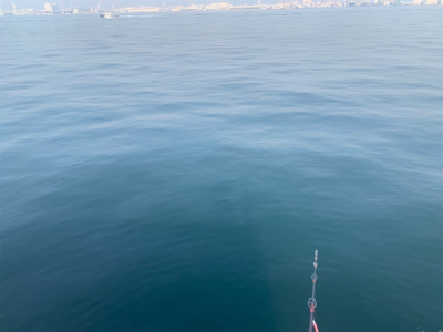 通りすがりラッキー♫