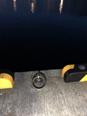 久しぶりの投稿です