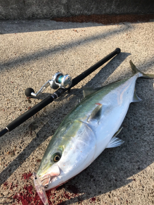 ノマセクラブ淡路釣行ルアーマン入門編