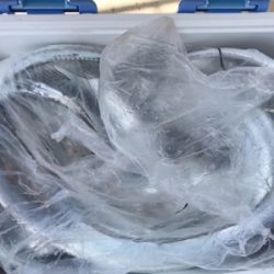 スーパーULジギング