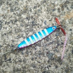 一応釣れましたが…