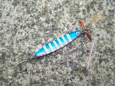 一応釣れましたが…