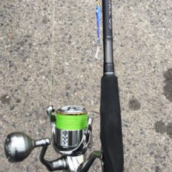 今年初フィッシュ笑