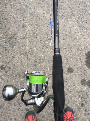 今年初フィッシュ笑