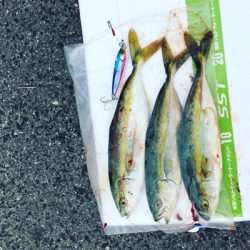 初のショアジギング