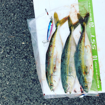 初のショアジギング