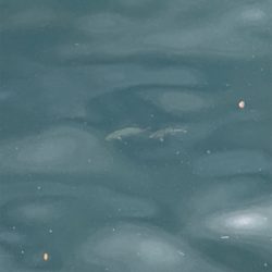 和歌山不発で翌日やっぱ神戸やで!