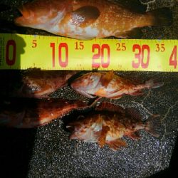 波強し、うねりあり