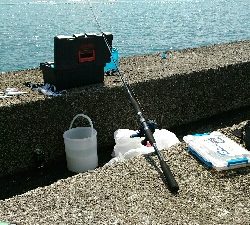 4月28日に続いて宇佐の中堤防へ