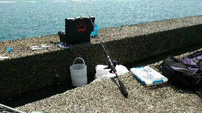 4月28日に続いて宇佐の中堤防へ