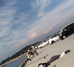 5/3釣果 アジイワシチャリコハゼ