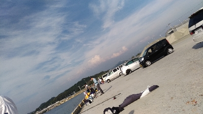 5/3釣果 アジイワシチャリコハゼ