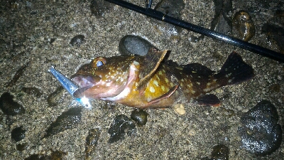 まだまだ開幕せず