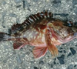 北浜小学校裏にて