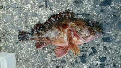 北浜小学校裏にて