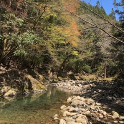 ルアーでアマゴ釣れた