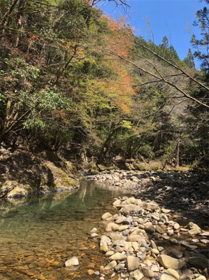 ルアーでアマゴ釣れた