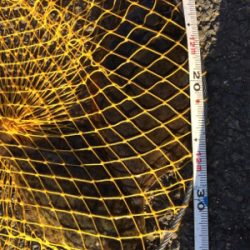 久しぶりの場所でカレイ釣り