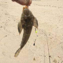 須磨で五目釣り