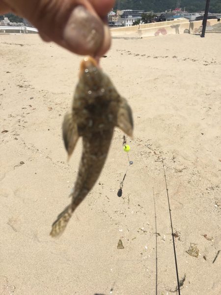 須磨で五目釣り