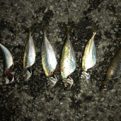 フロートアジング