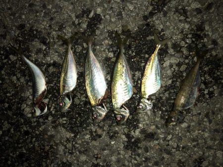 フロートアジング