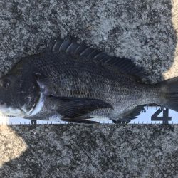 イチノ兄弟、釣果！