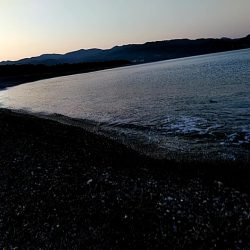 なんと　68㎝のメジロが釣れました!!