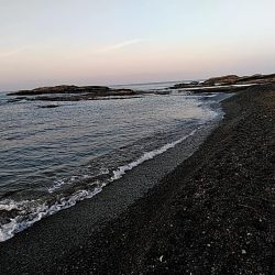 残念ボラでした!!