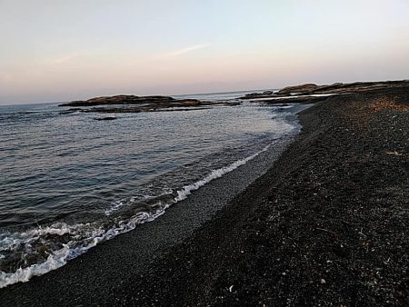 残念ボラでした!!