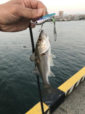 久々のオカッパリ