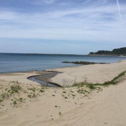 ちょい投げキス釣り