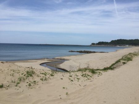 ちょい投げキス釣り