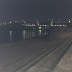 西宮浜跳ね橋周辺バチ抜け調査