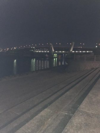 西宮浜跳ね橋周辺バチ抜け調査