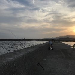 サゴシ狙いが…。