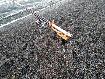 久しぶりのアオリイカでした!!