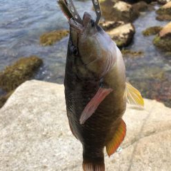 ゴールデンウィーク最終日