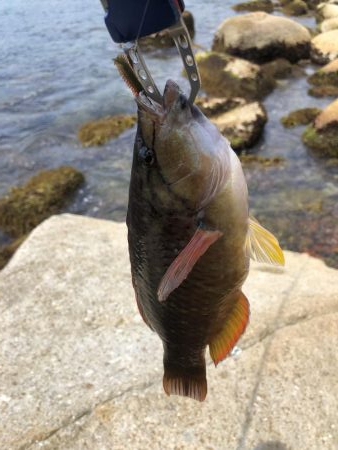 ゴールデンウィーク最終日