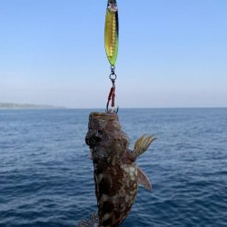 陸っぱりからの44㎝!