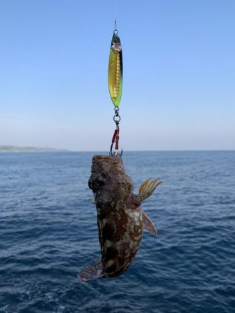 陸っぱりからの44㎝!