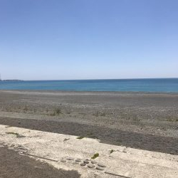 サーフ初ゲット。