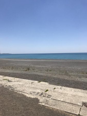 サーフ初ゲット。