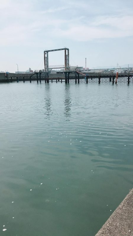 根掛かりかと思ったら走り出した!