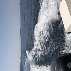 レンタルボートジギングリベンジだ！